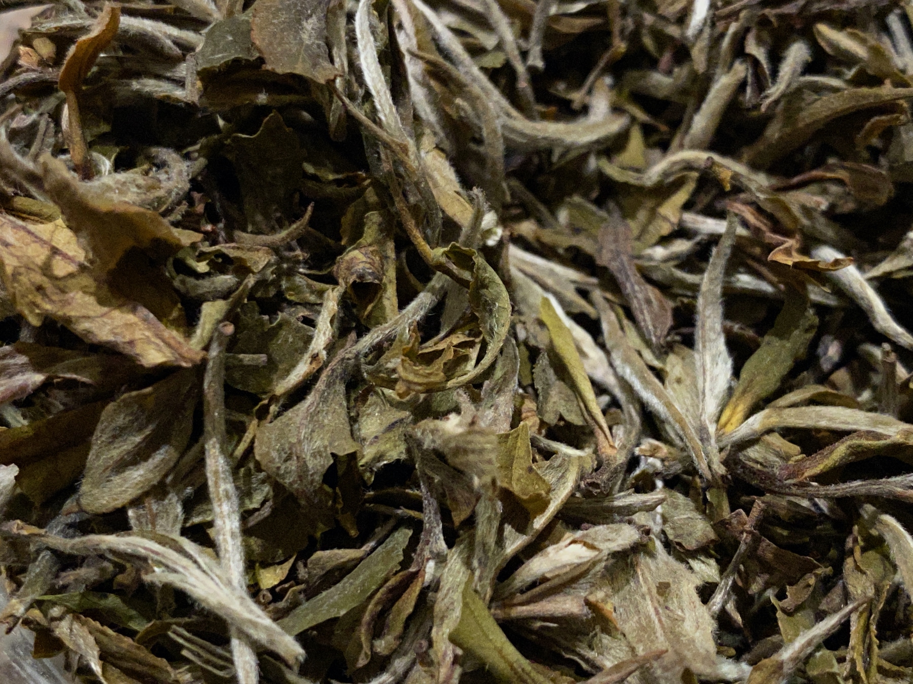 White Darjeeling Tea Leaves