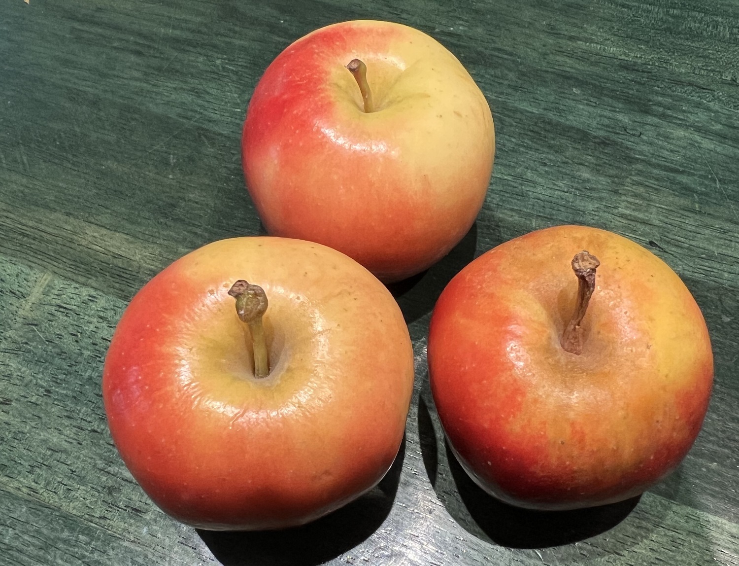 What are Rockit Apples? Perfect Size for Kid's Snack - Eat Like No One Else